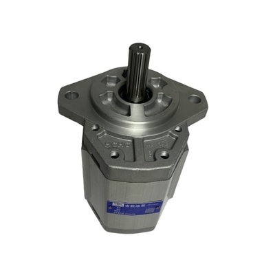 Pump Gear tahan lama CBQ-F550-AF13L A462-601300-000 Untuk CPC40-50 di bengkel mesin