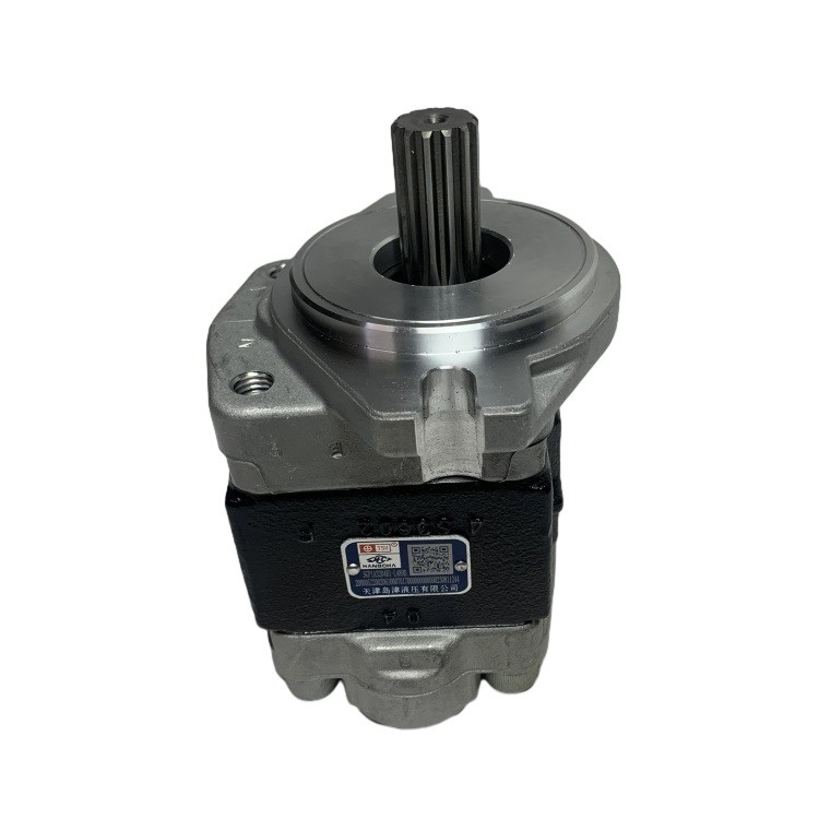 Pump Gear Baja Dijamin SGP1A32D4H1-1489D untuk R305-601100-000 CPCD30 Forklift